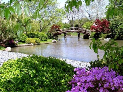 Японский сад Yaponskij-sad_domanafoto.ru_10-428x321