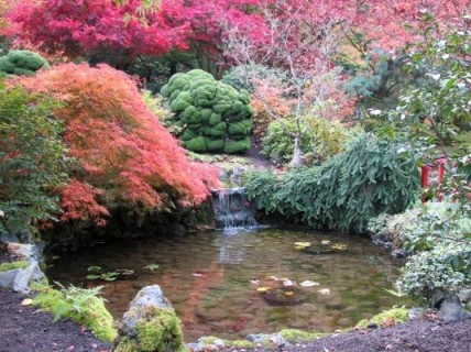 Японский сад Yaponskij-sad_domanafoto.ru_7-428x320