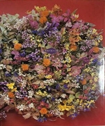 The dye flowers - Manyo flowers Hyakuomomuki 