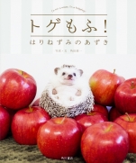 Togemofu hedgehog of red beans