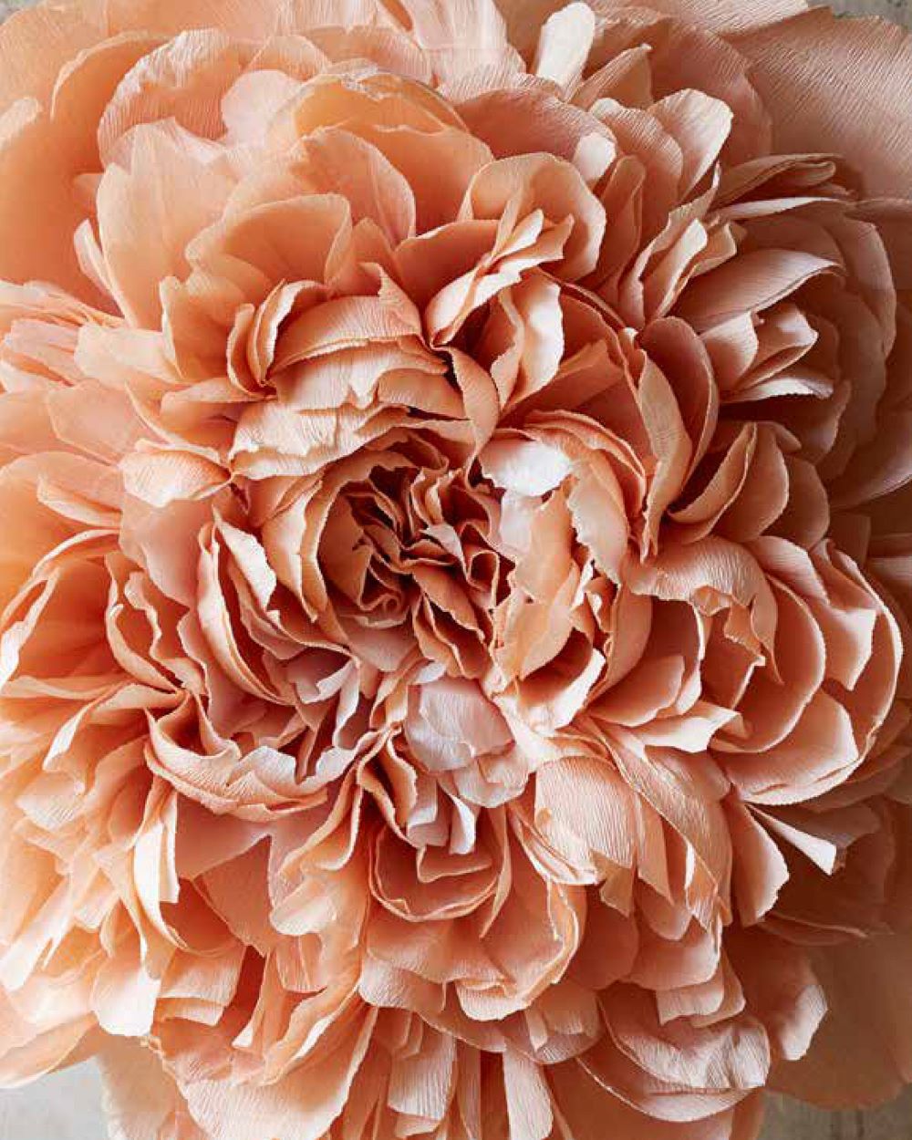 The Fine Art of Paper Flowers: A Guide to Making Beautiful and Lifelike Botanicals 